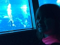 Kids_WeekiWacheeFL_Show (7)